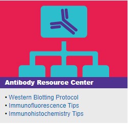 Antibody Resource Center